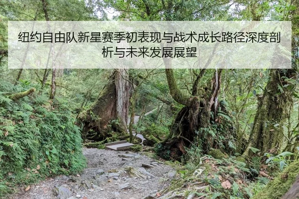 niu-yue-zi-you-dui-xin-xing-sai-ji-chu-biao-xian-yu-zhan-shu-cheng-zhang-lu-jing-shen-du-pou-xi-yu-wei-lai-fa-zhan-zhan-2-808.jpg