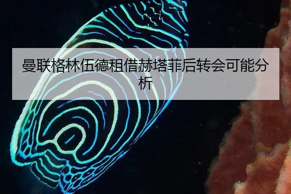 man-lian-ge-lin-wu-de-zu-jie-he-ta-fei-hou-zhuan-hui-ke-neng-fen-xi-2-156.jpg